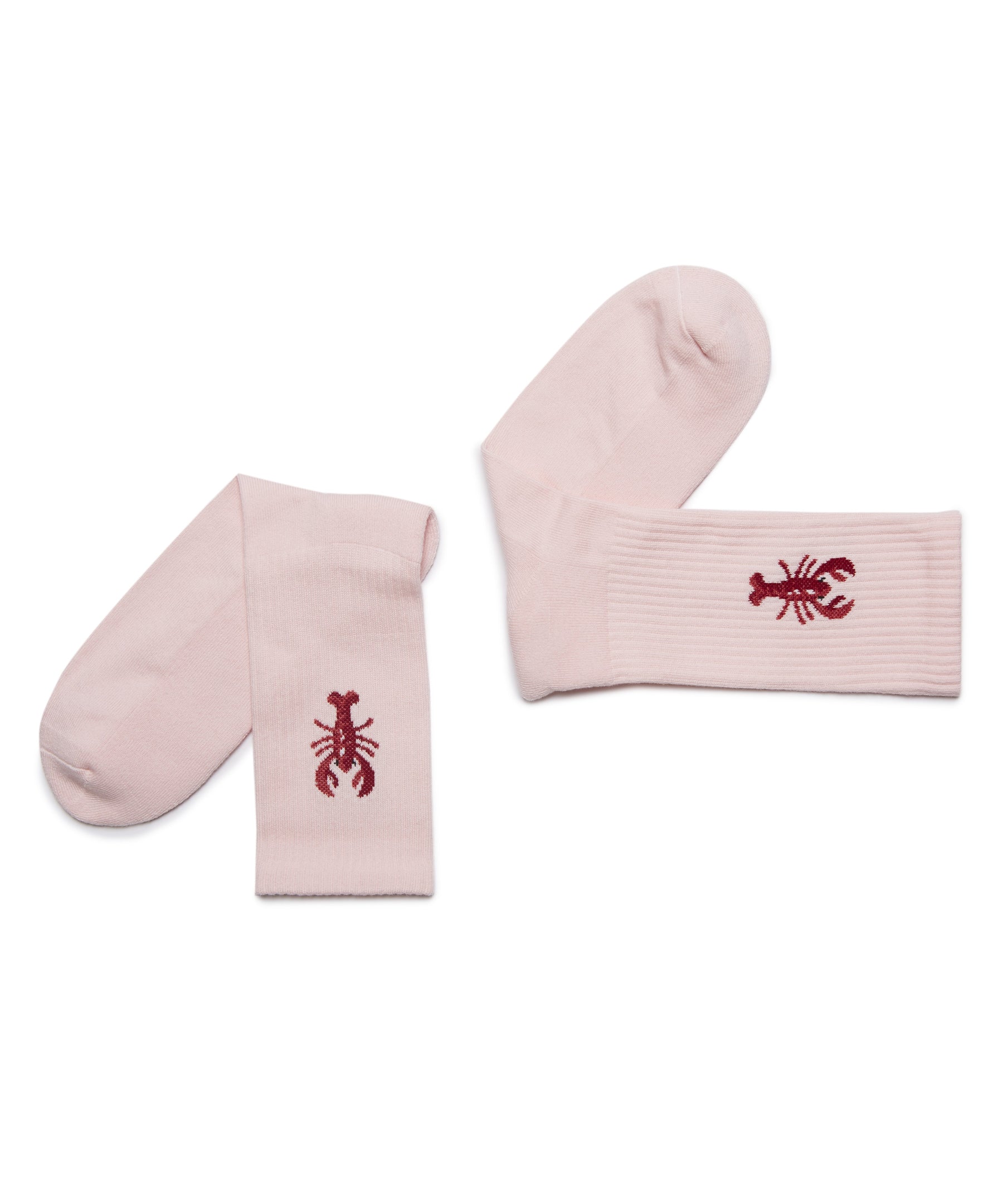 Amir － Poudre by Royalties