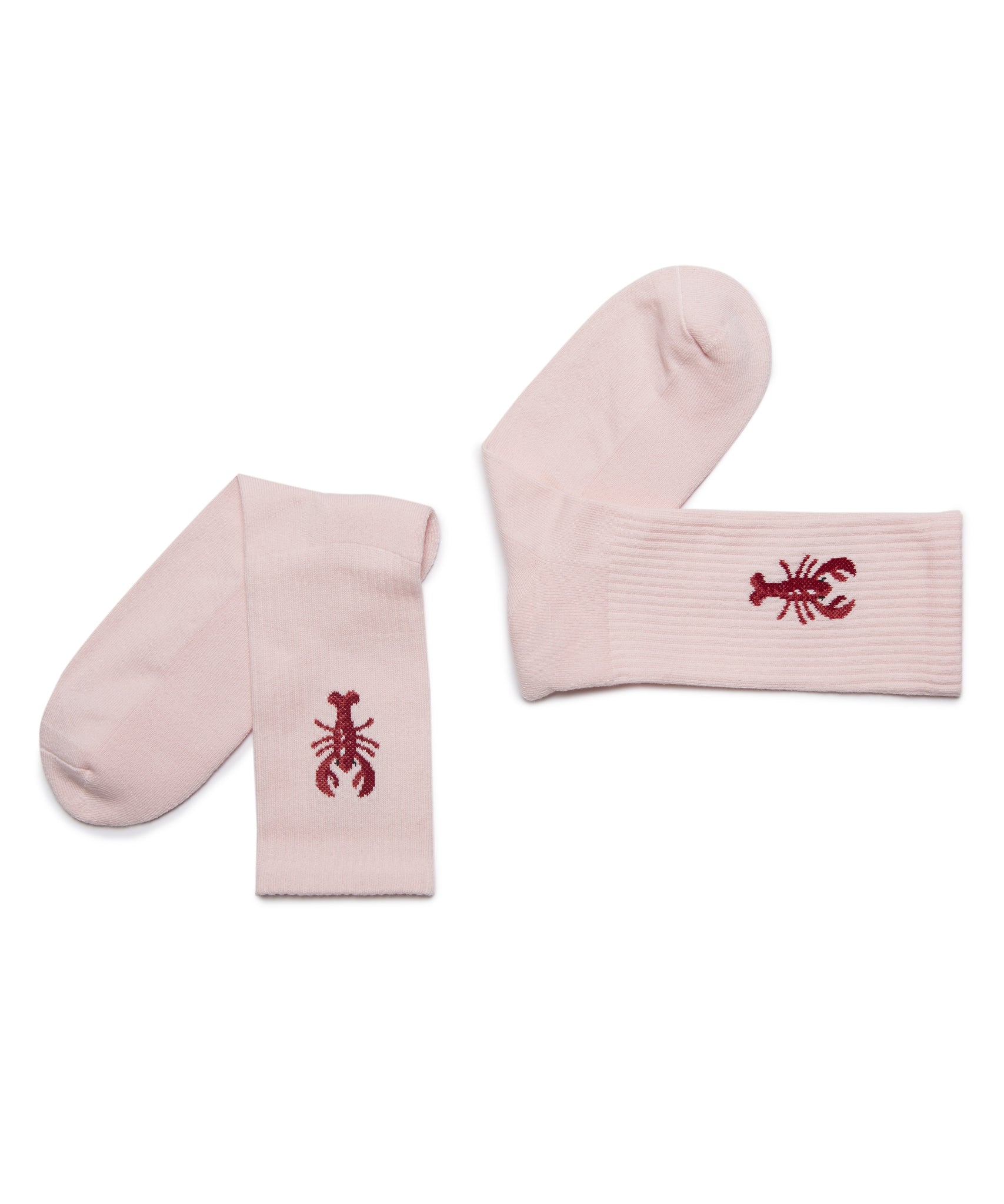 Amir － Poudre by Royalties