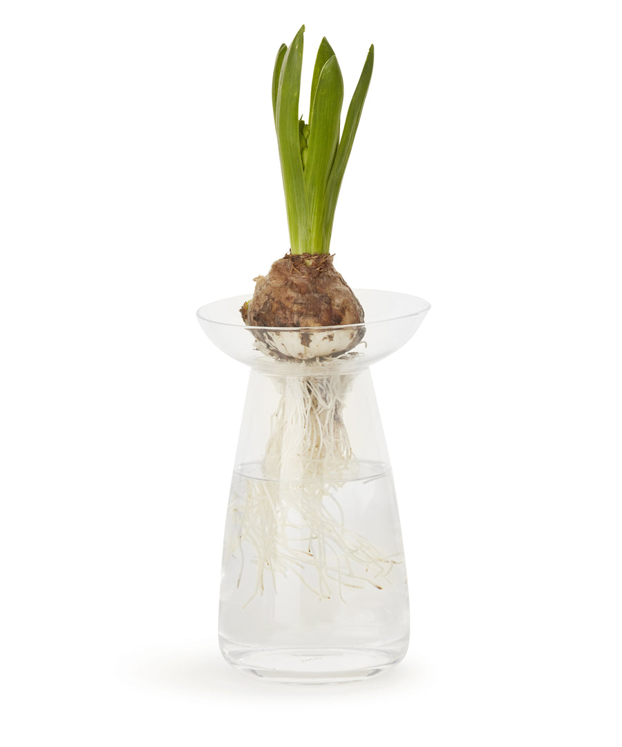 Aqua Culture Vase 190mm (Clear) by Kinto