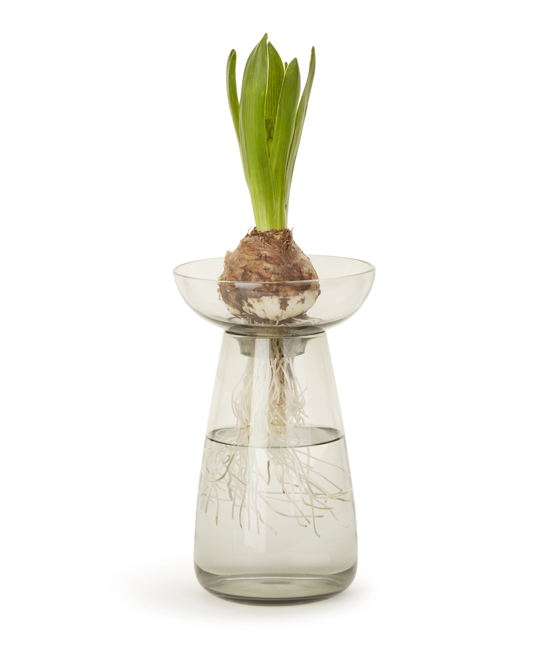 Aqua Culture Vase 190mm (Grey) by Kinto