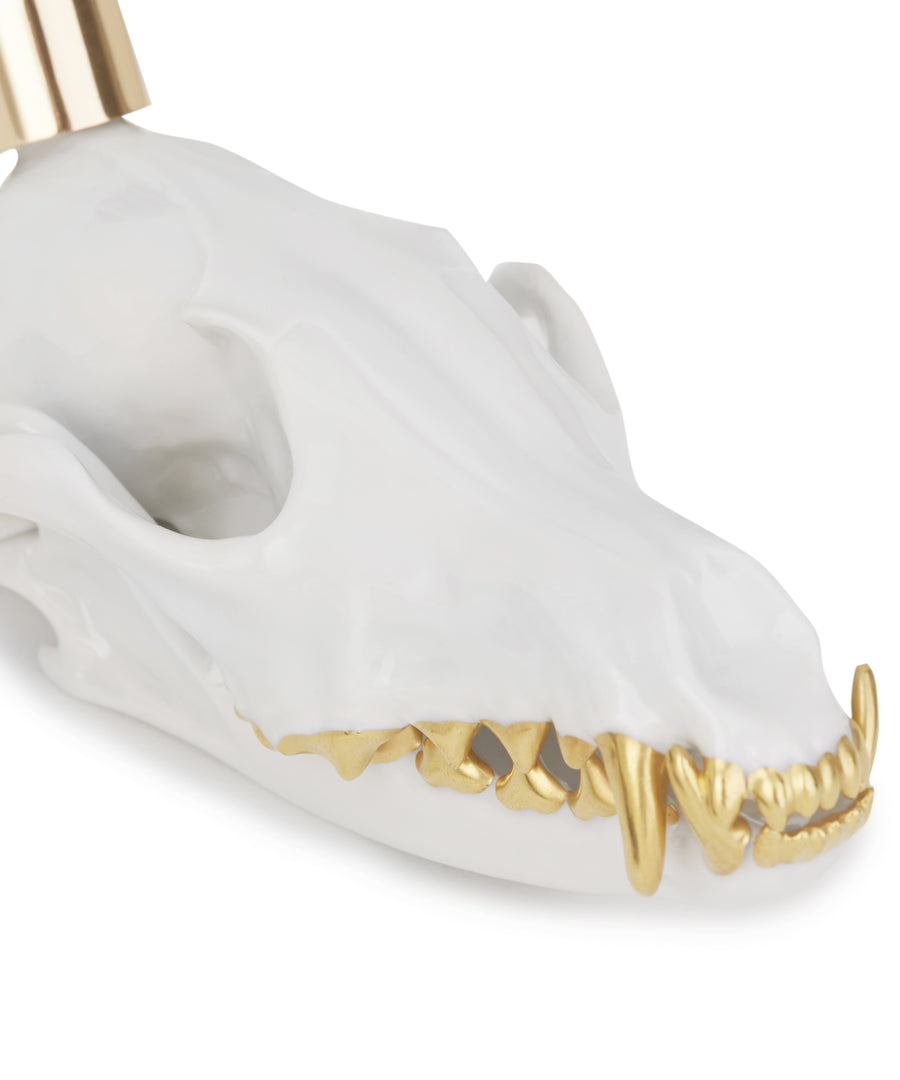 Vulpini Gold Teeth by Augarten